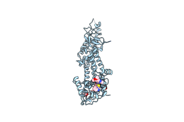 5OVG image