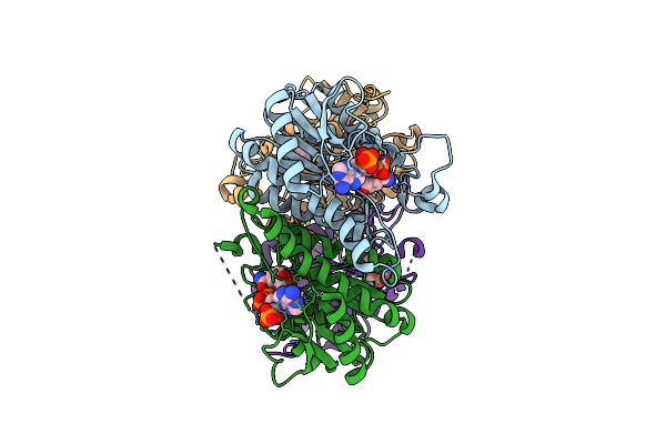5OVL image