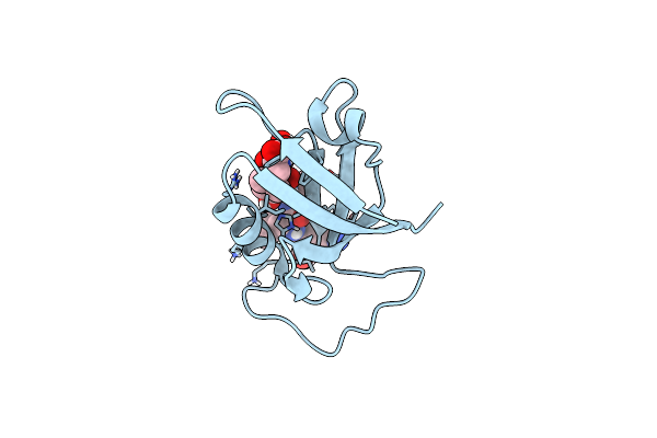 5OVP image
