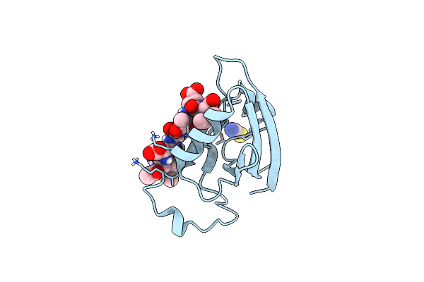 5OVV image