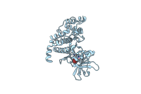 5OWH image