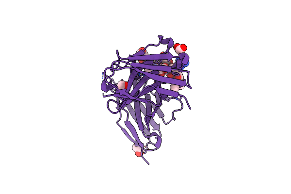 5OWP image