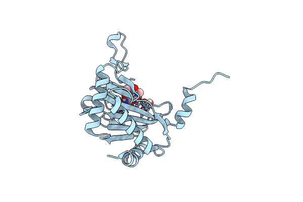 5OX5 image