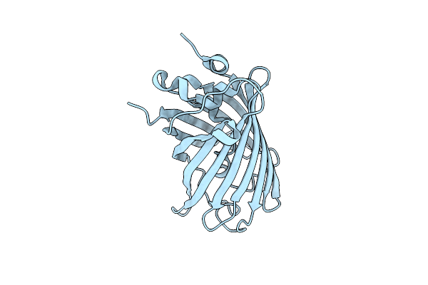 5OXC image
