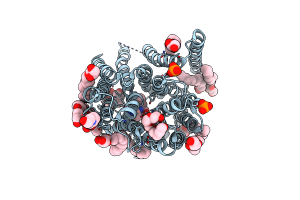 5OXL image