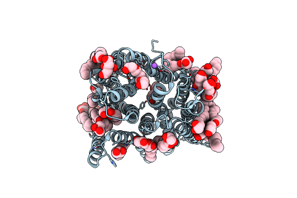 5OXO image