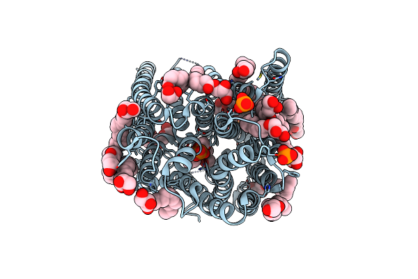 5OXP image