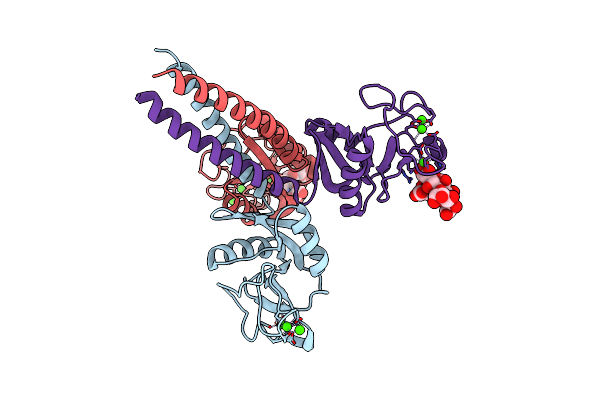 5OXR image