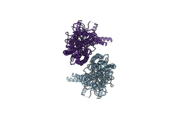 5OYB image