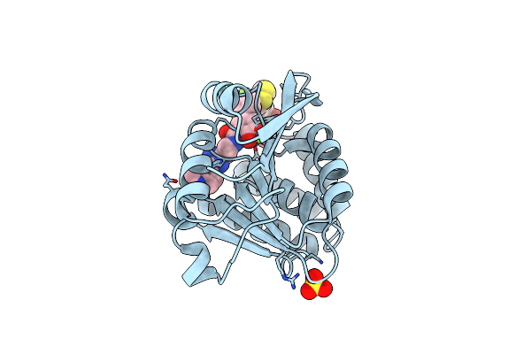 5P8X image