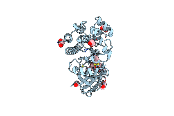 5P9F image
