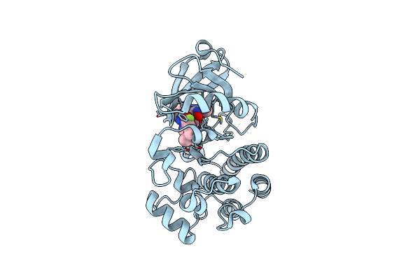 5P9H image