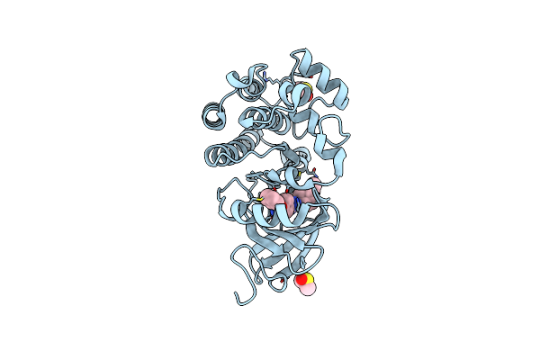 5P9I image