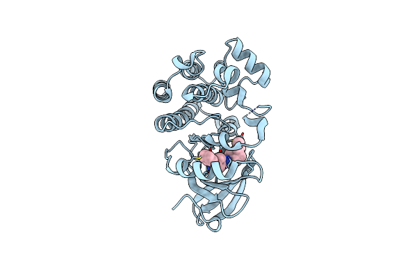 5P9J image