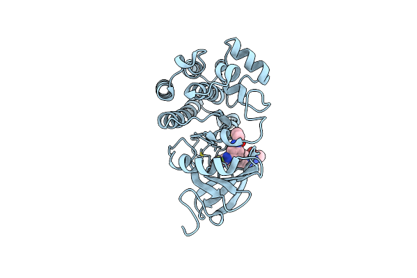 5P9K image