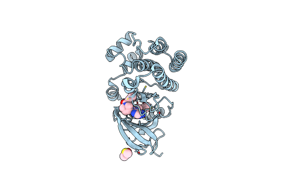 5P9M image