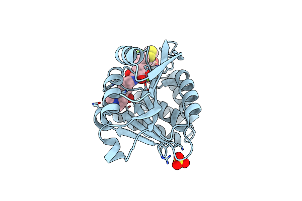 5P9N image