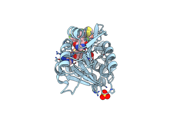 5P9O image