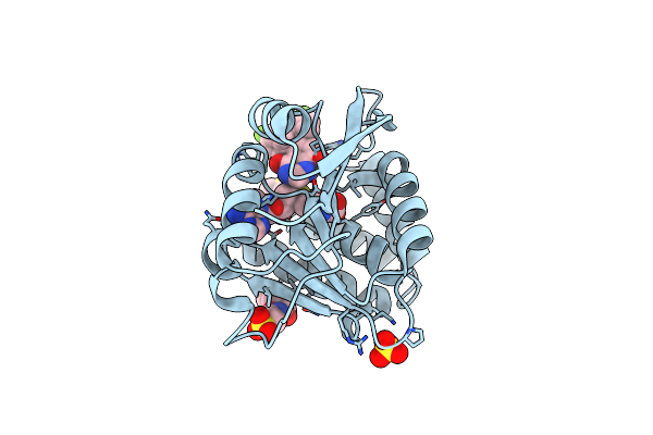 5P9P image