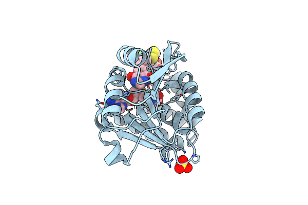 5P9T image