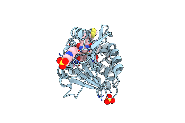 5P9V image