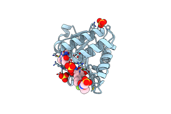 5P9W image