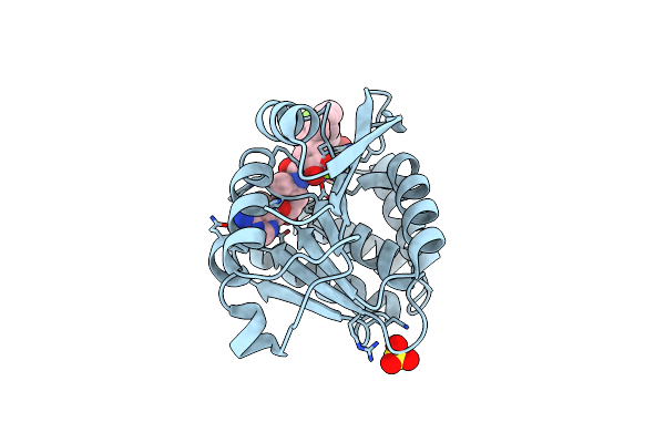 5P9X image