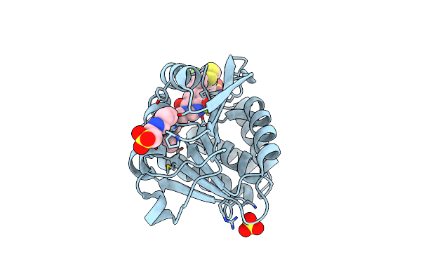 5P9Y image