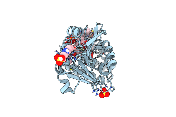 5PA0 image