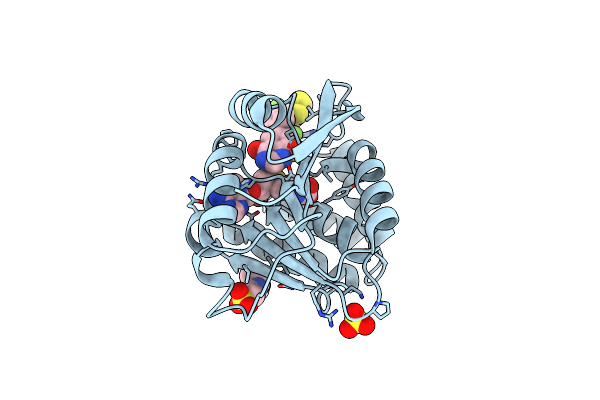 5PA2 image