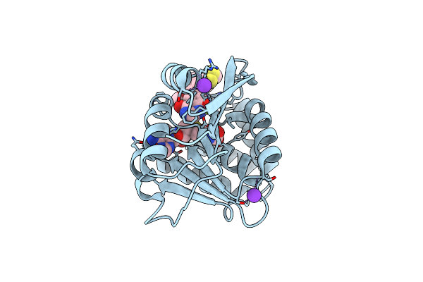 5PA3 image