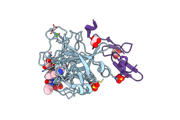 5PAB image