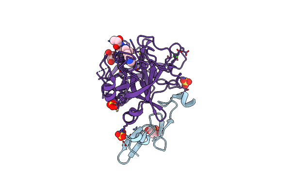5PAE image