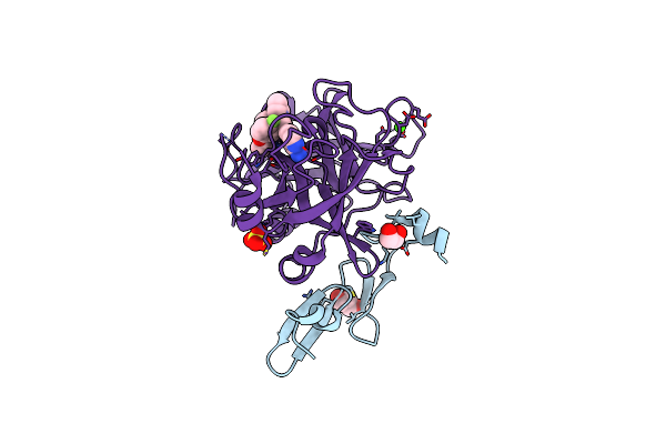 5PAM image