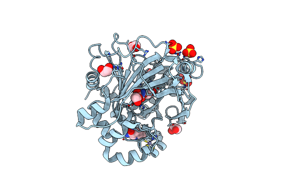 5PH2 image
