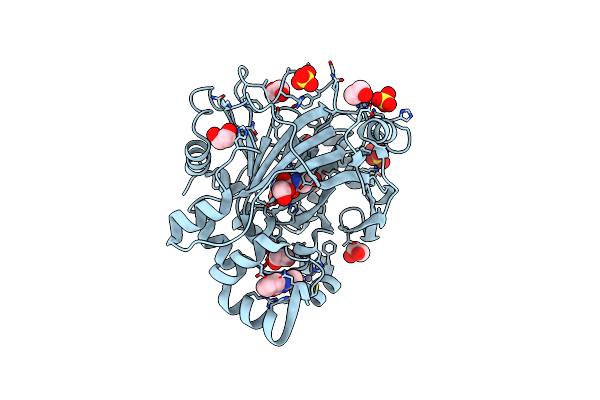 5PHA image