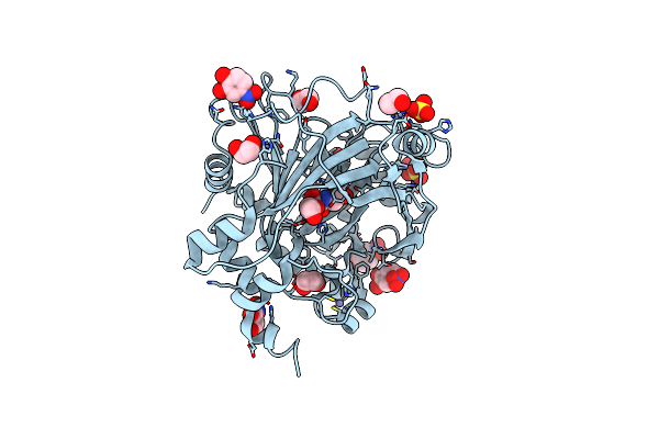 5PHD image