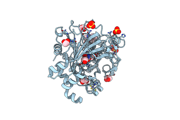 5PHI image