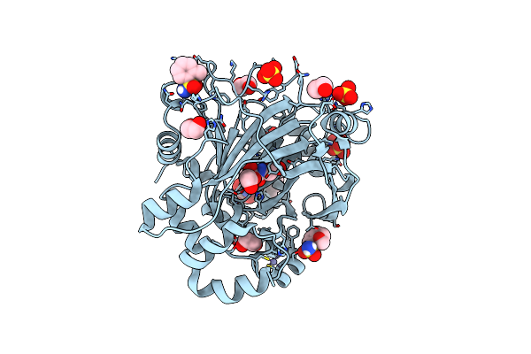 5PHM image