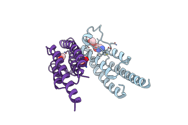 5PNX image