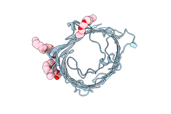 5PRN image