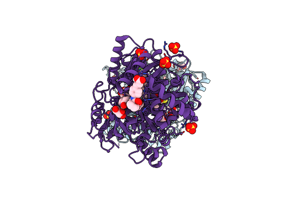 5PZO image