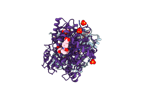 5PZP image