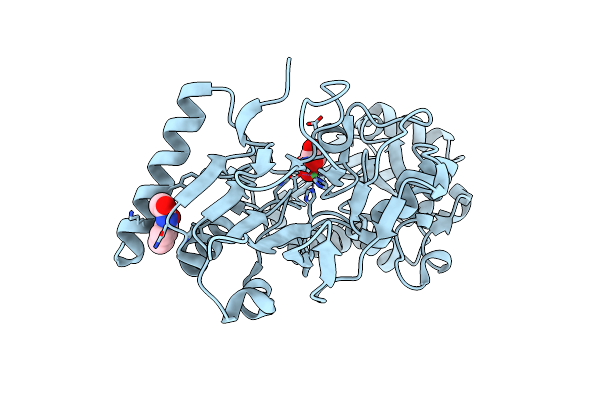 5Q1J image