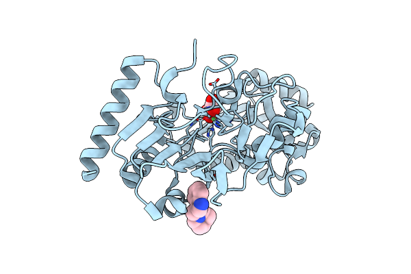 5Q1R image