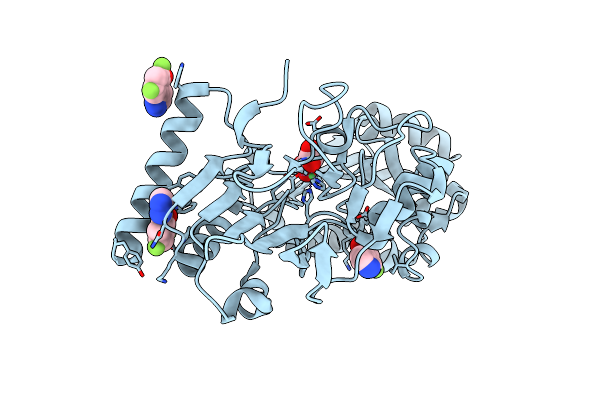 5Q1X image