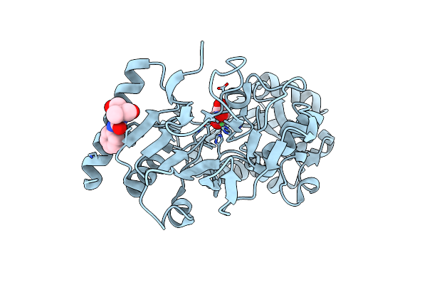 5Q20 image