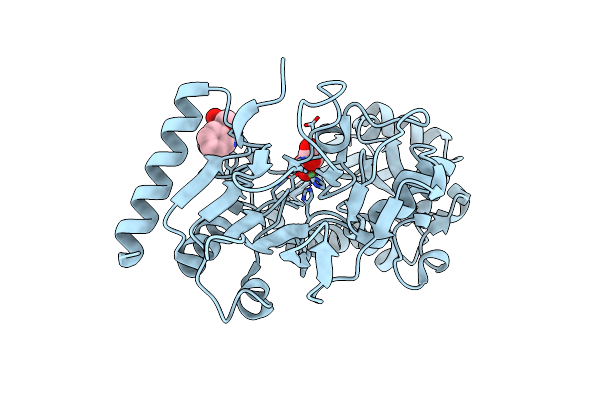 5Q22 image