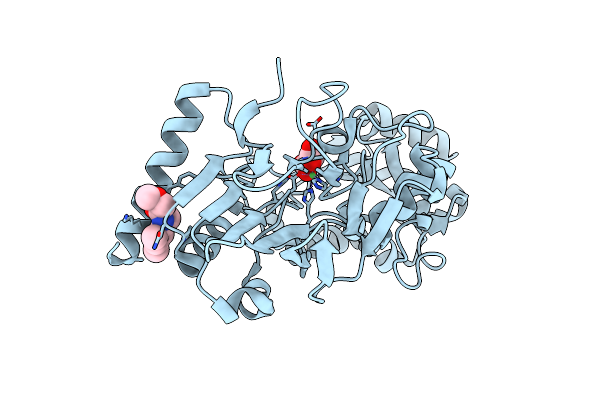 5Q26 image