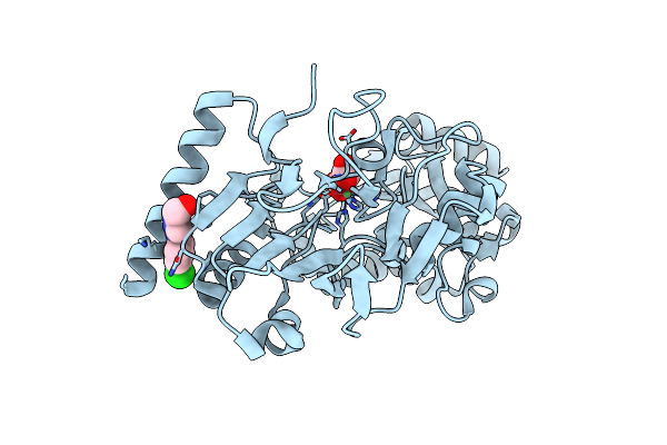 5Q29 image